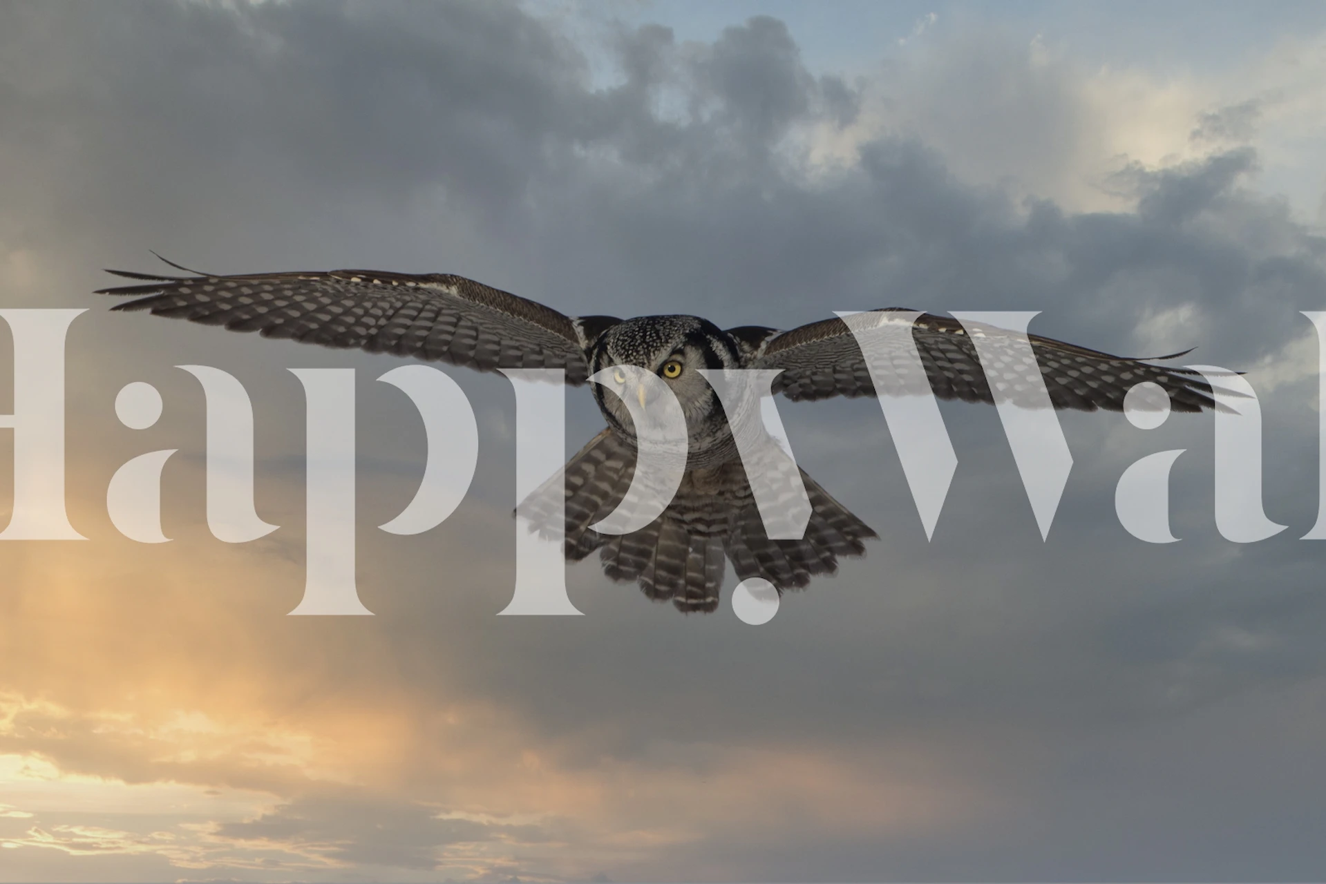 Design de papier peint Sky Patrol avec des hiboux volants