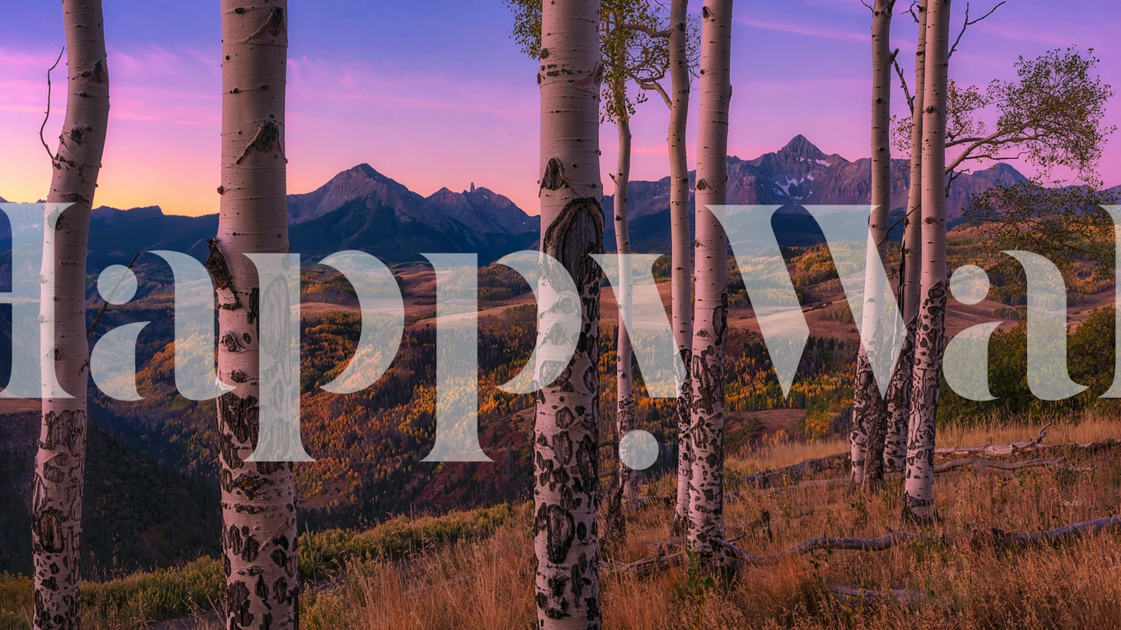 Aspen Frames με φόντο βουνό τοίχου