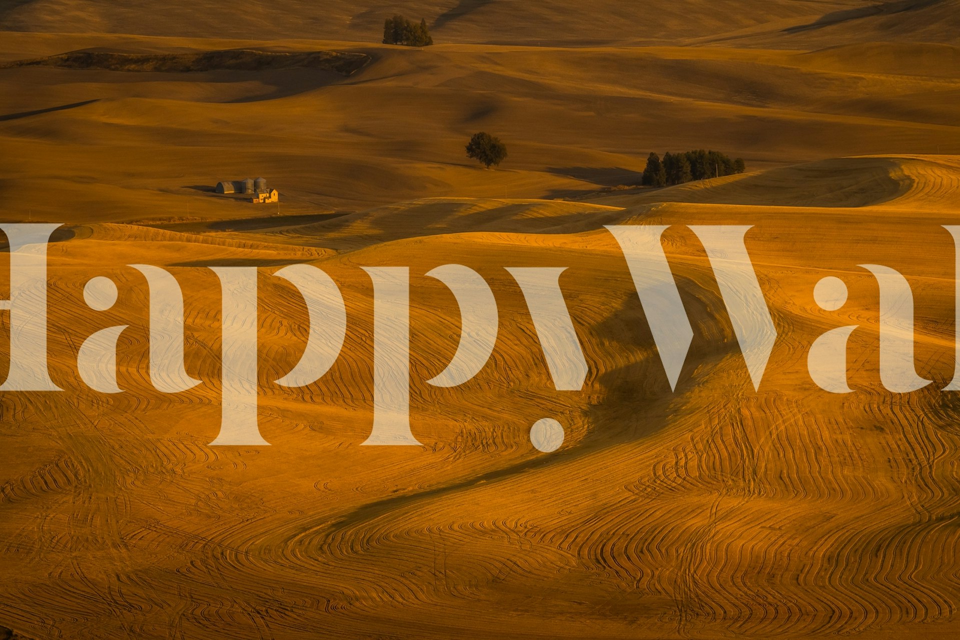 Golden wheat field landscape with textured patterns wallpaper