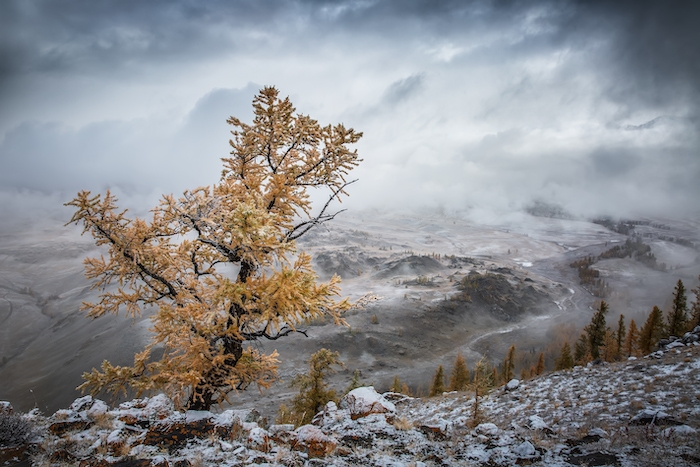 Cold Autumn Morning in the Mountains Wallpaper | Happywall