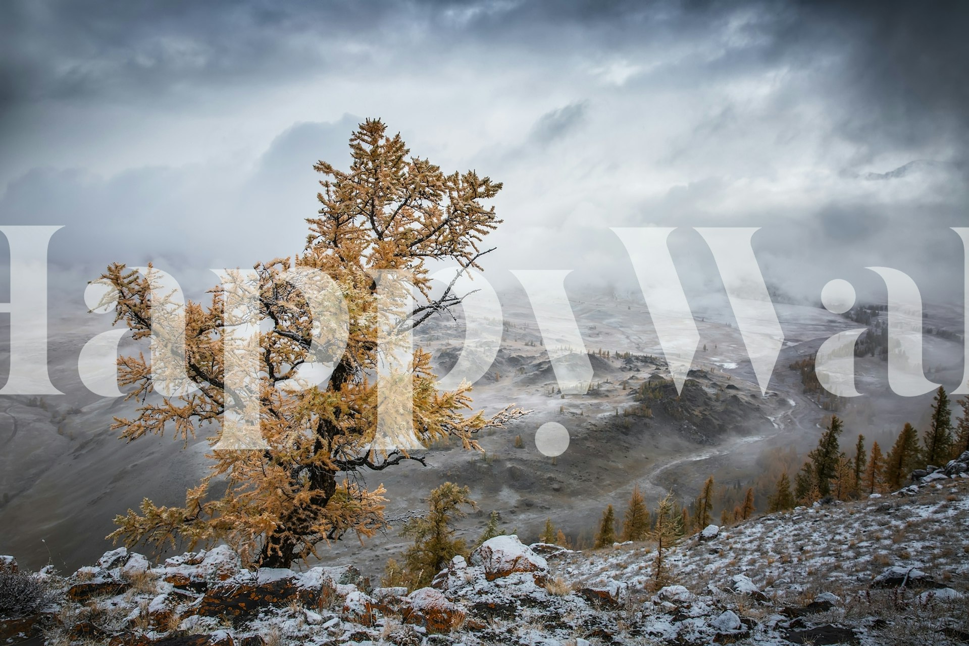 Cold autumn morning in the mountains wallpaper