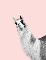 Cute Llama Blush Black White 1 tapete