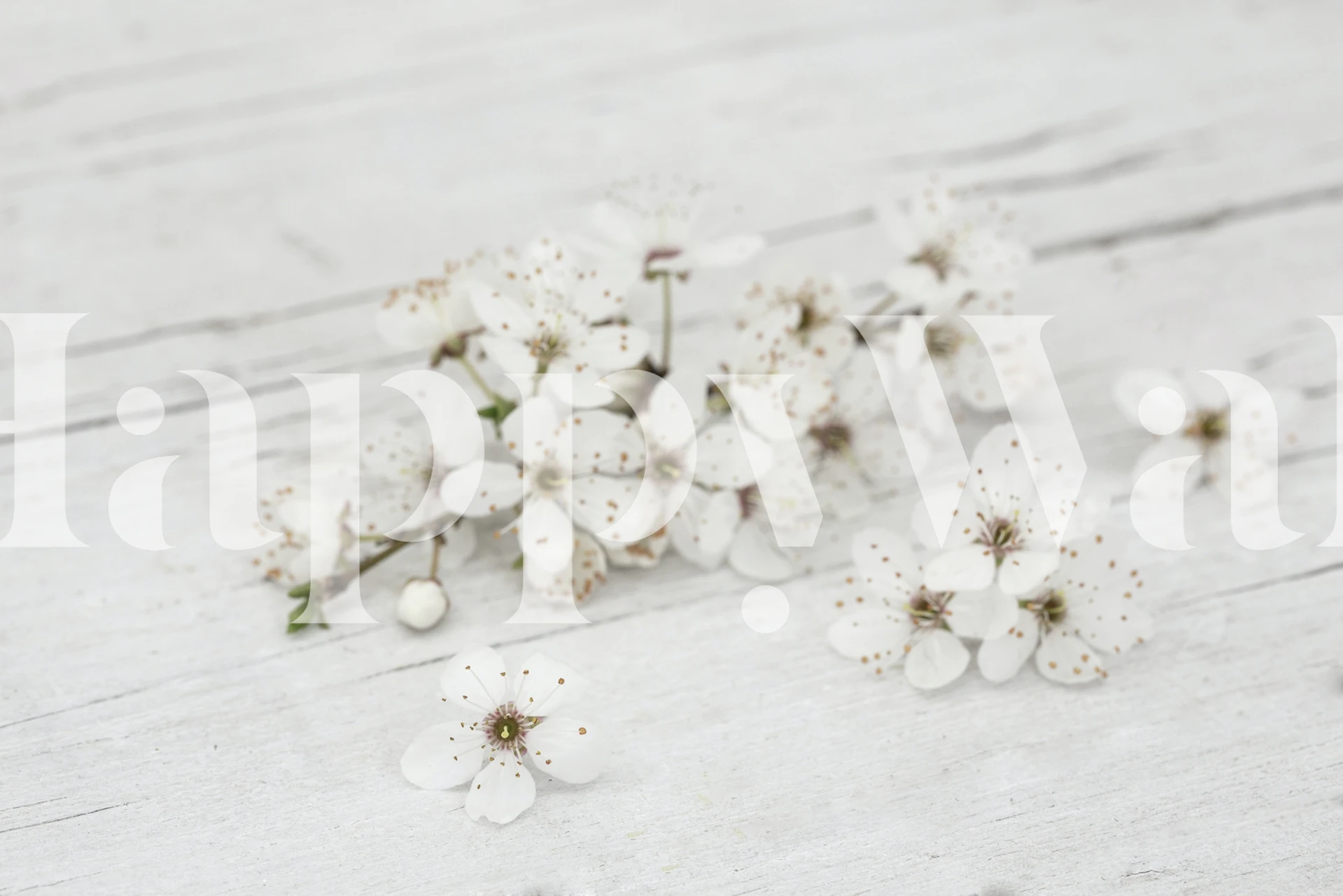 White Cherry Blossom wallpaper in a room