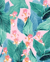 Iris Jungle Dream 2 papiers peint