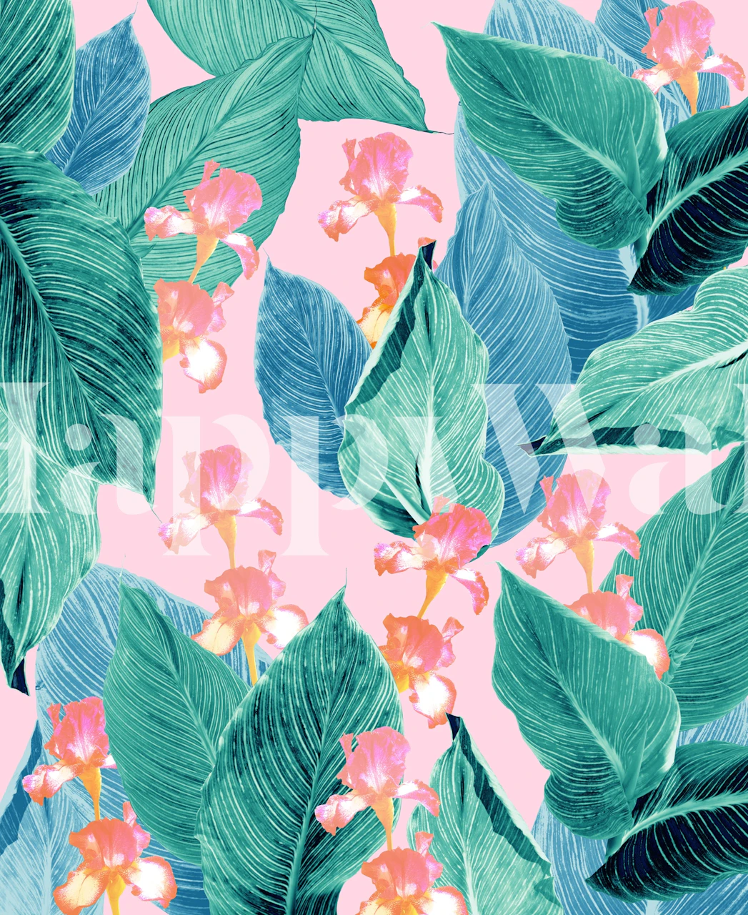 Iris Jungle Dream 2 papel pintado en una habitación