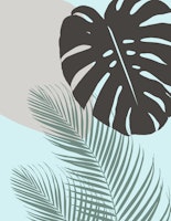 Minimal Monstera Finesse 5 ταπετσαρία