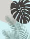Minimal Monstera Finesse 5