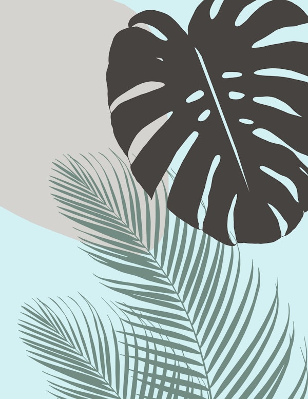 Minimal Monstera Finesse 5