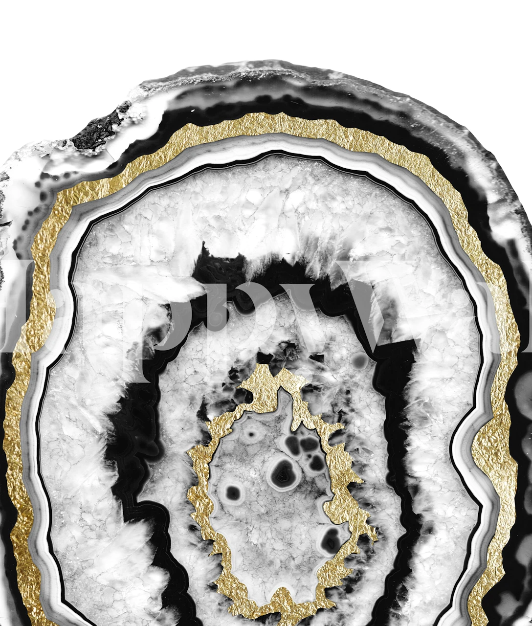 Elegant grijs, zwart en wit fotobehang met accenten van bladgoud.