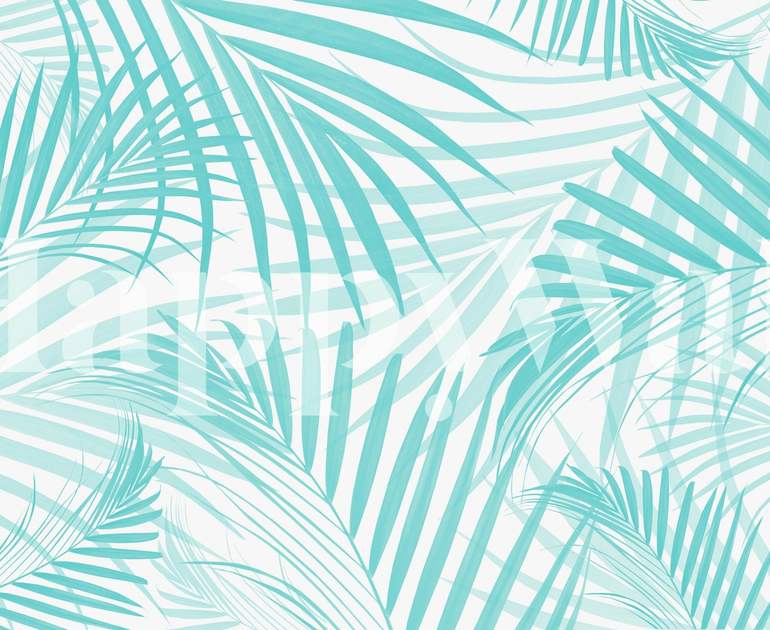 Cali Summer Vibes 4 wallpaper in a room