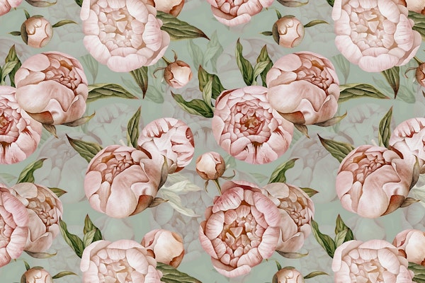 Pink Baroque Opulent Peonies On Teal