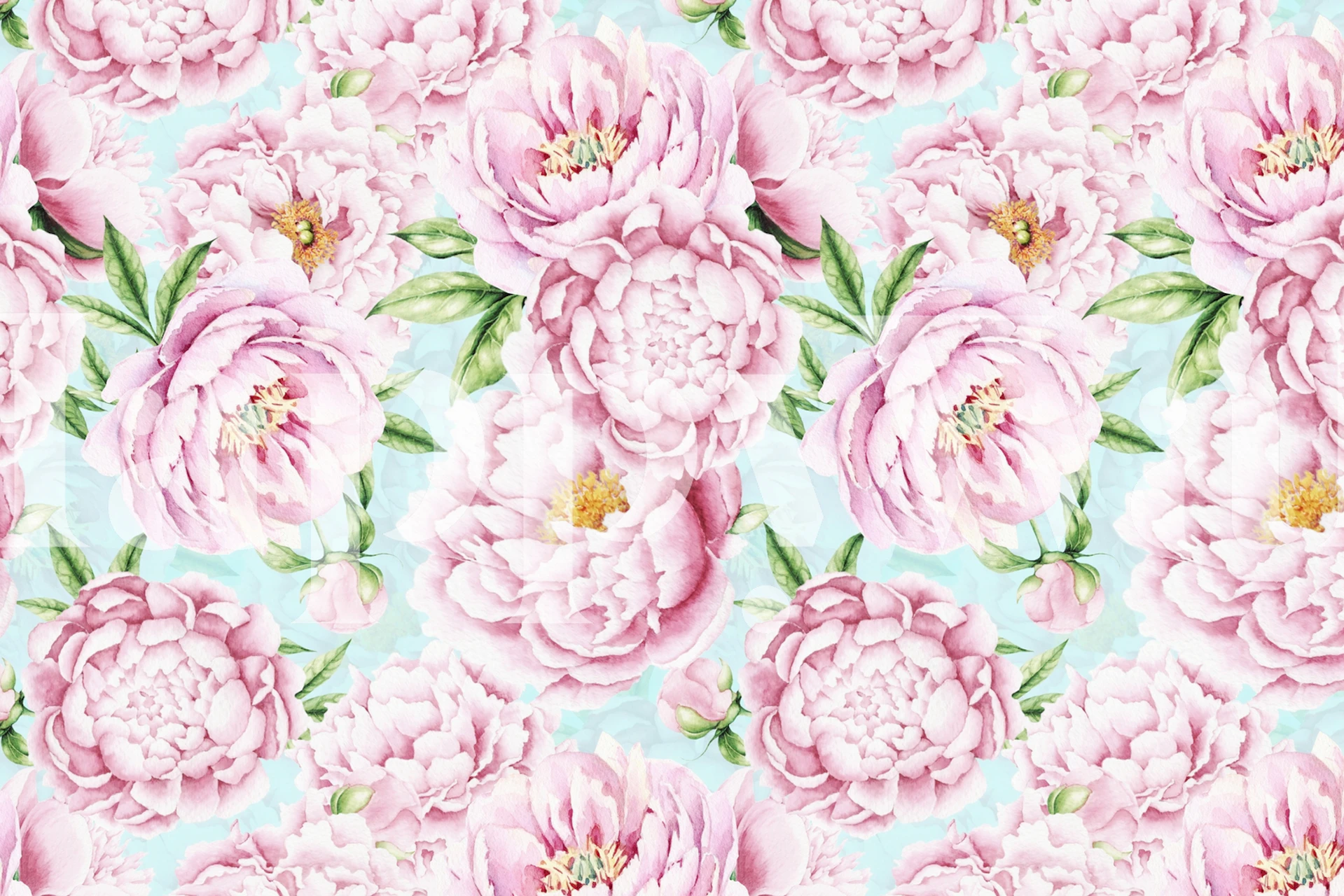 Pink Opulent Baroque Peonies na tyrkysovém pozadí