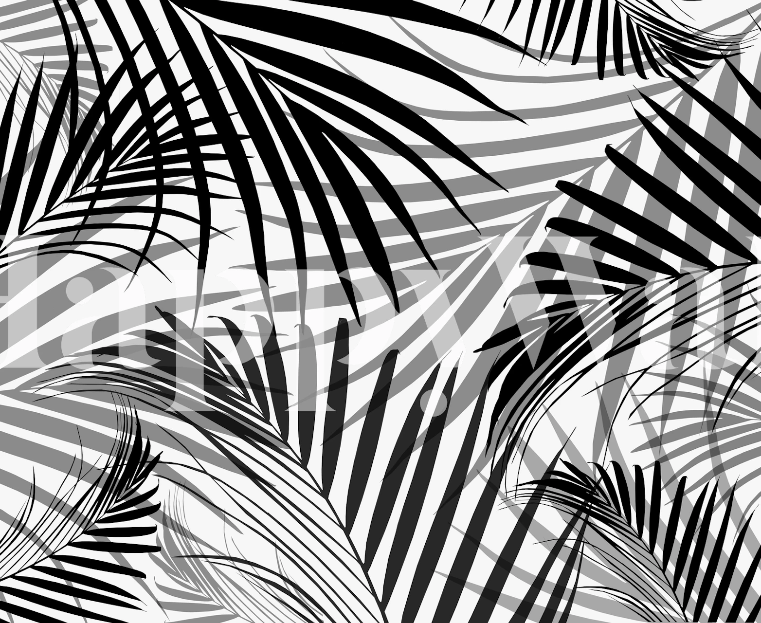 Tropical leaf pattern in black and white wallpaper