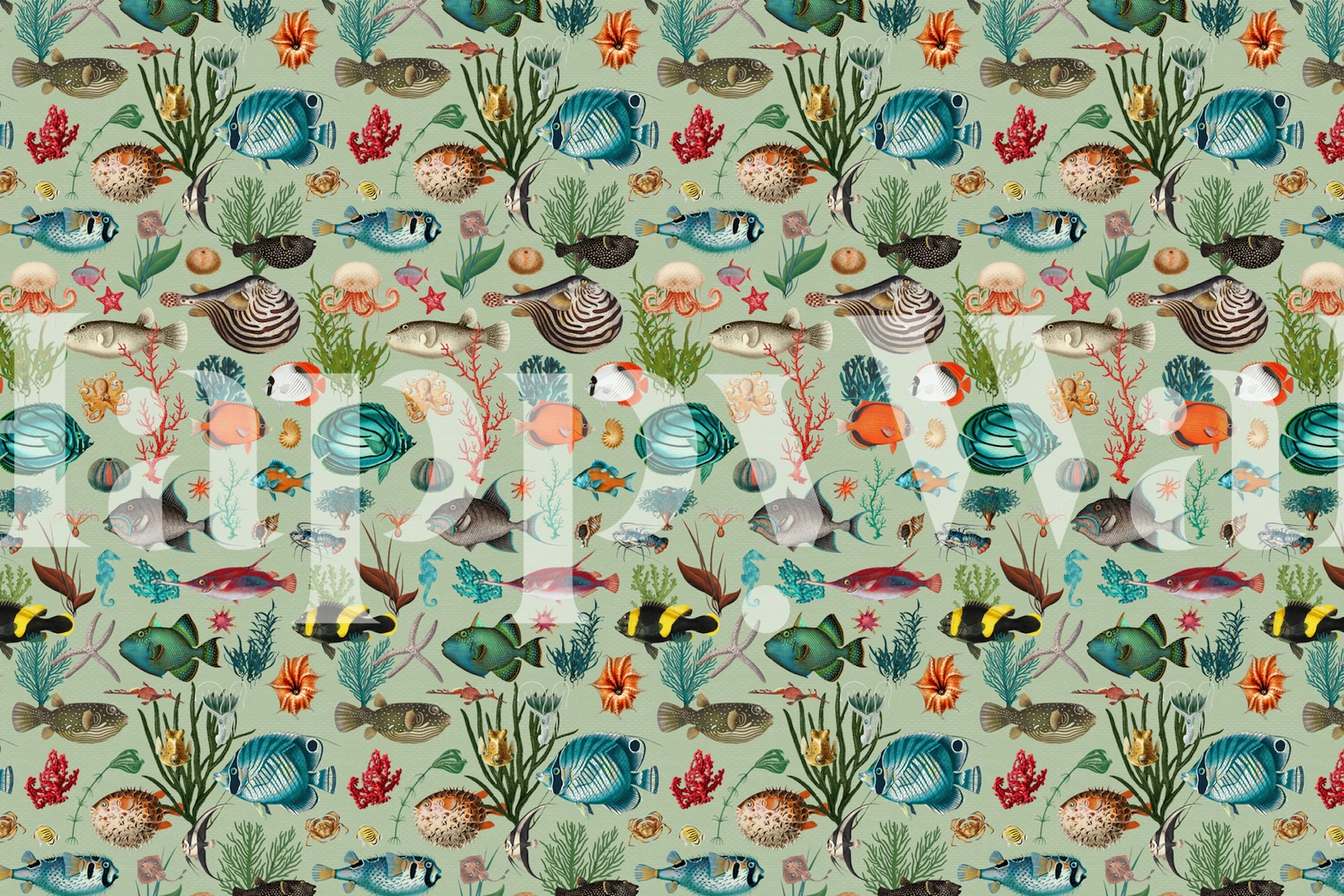 Sea life in various colors, fish and coral designs, ocean wallpaper