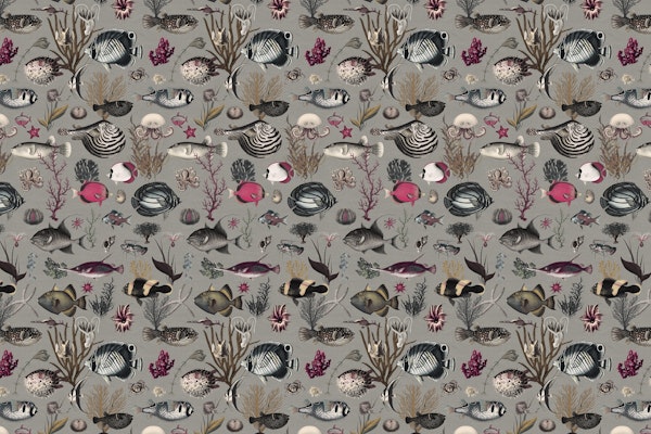 Oceania in grey fuchsia olive