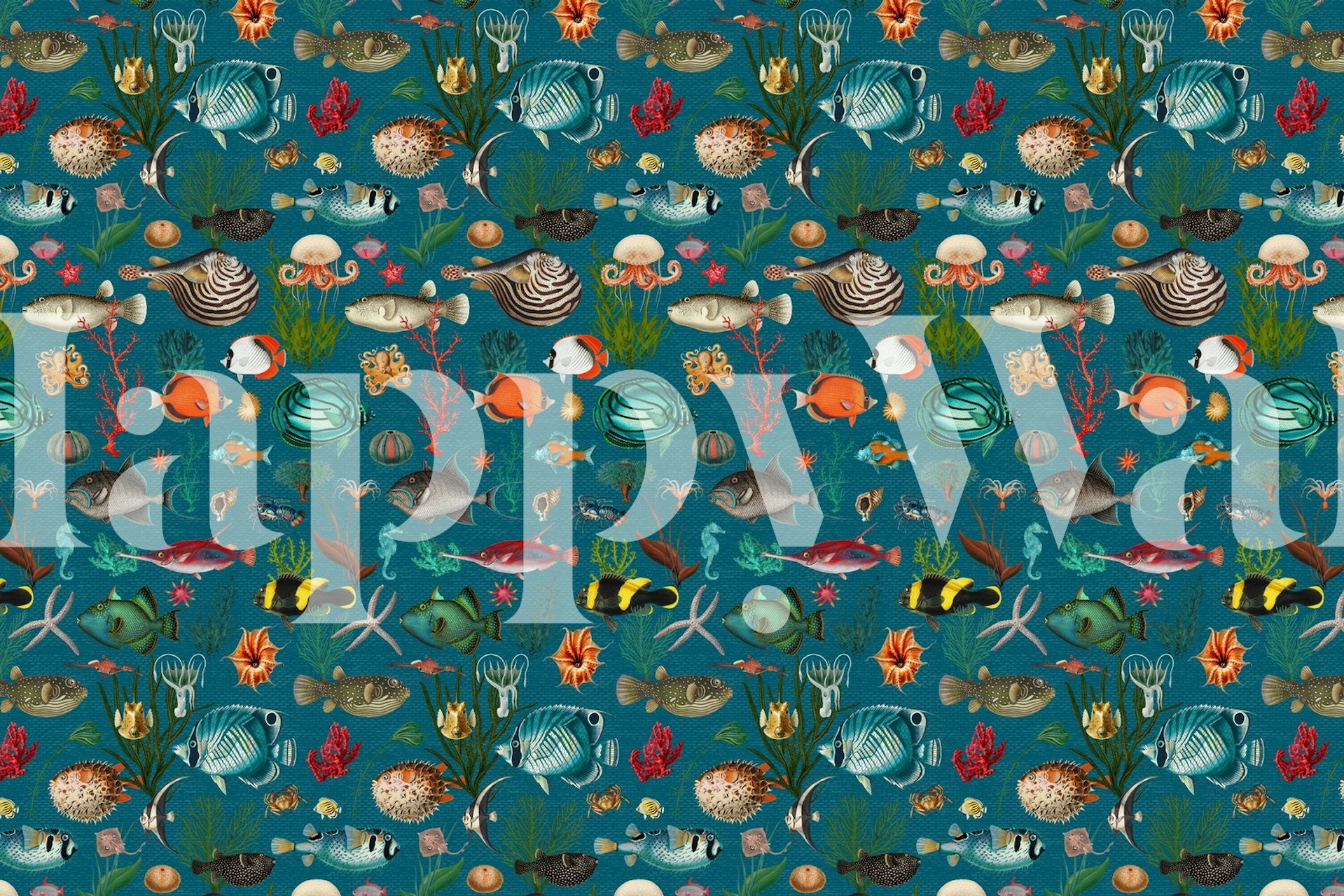 Oceania in teal blue carta da parati in una stanza