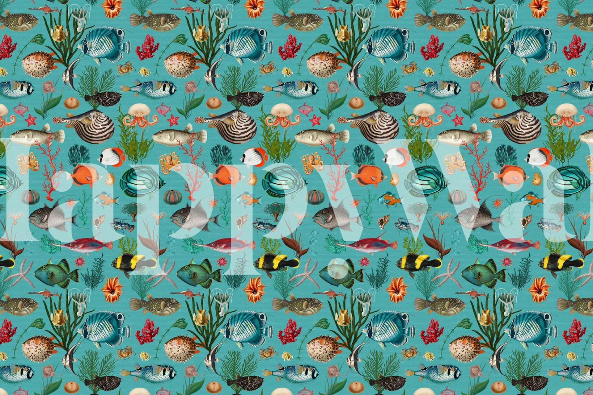 Oceania w turkusowym kolorze fototapeta ze stylizowanym życiem morskim