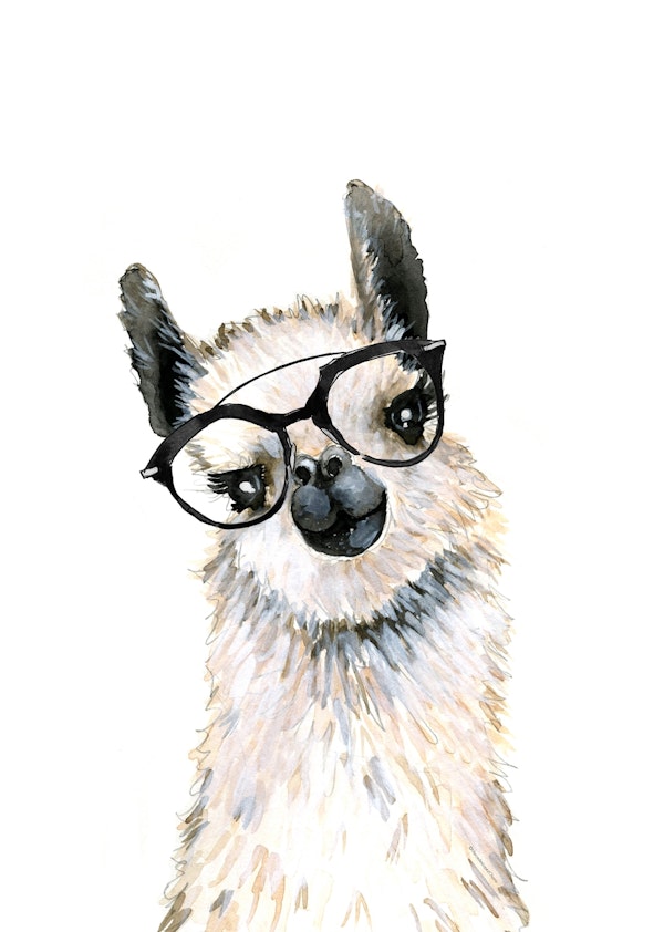 Llama with Glasses