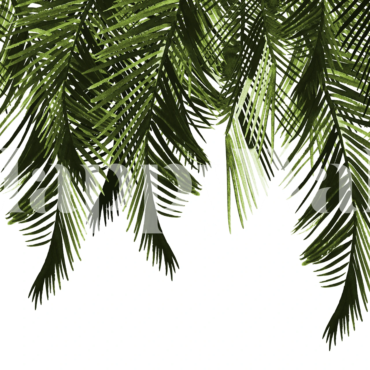 Tropical green palm leaves wallpaper with a white background