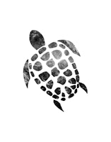 Minimal Sea Turtle 1 wallpaper