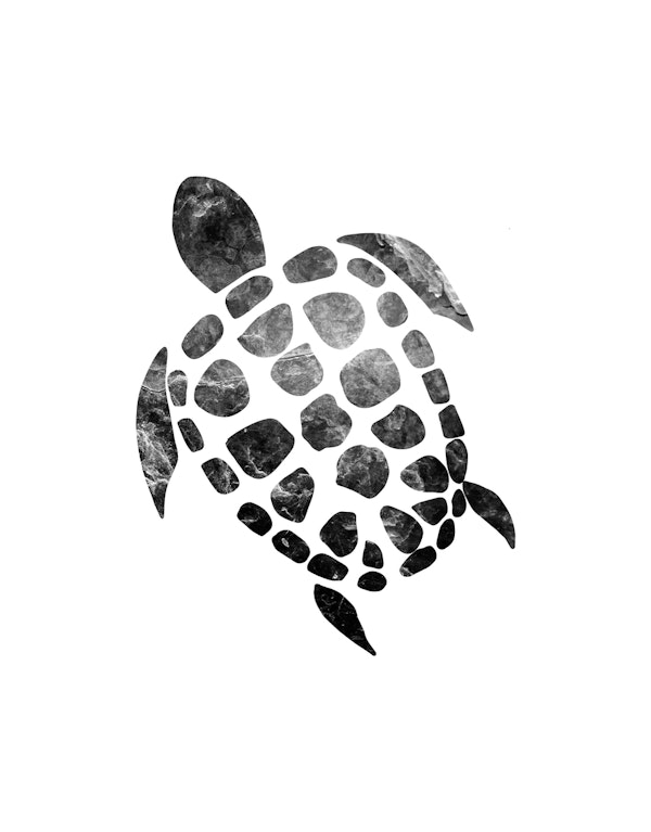 Minimal Sea Turtle 1