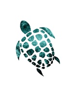 Minimal Sea Turtle 2 wallpaper