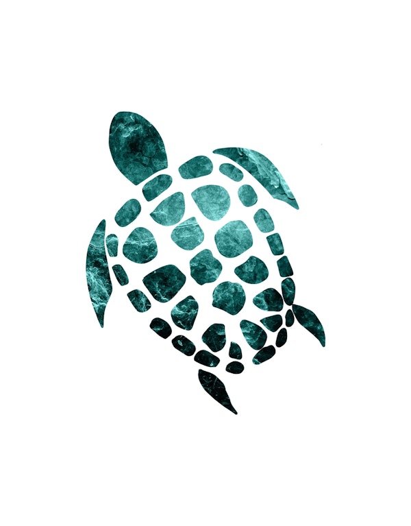 Minimal Sea Turtle 2