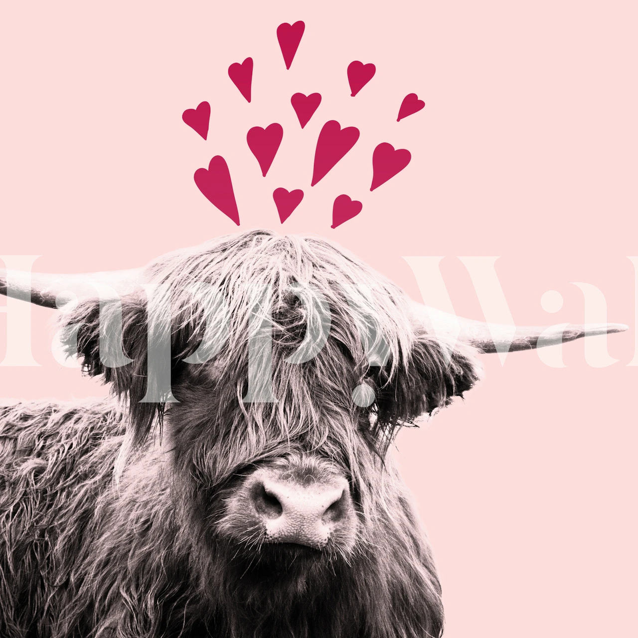 Valentinstag Liebessymbol Highland Cow Tapete