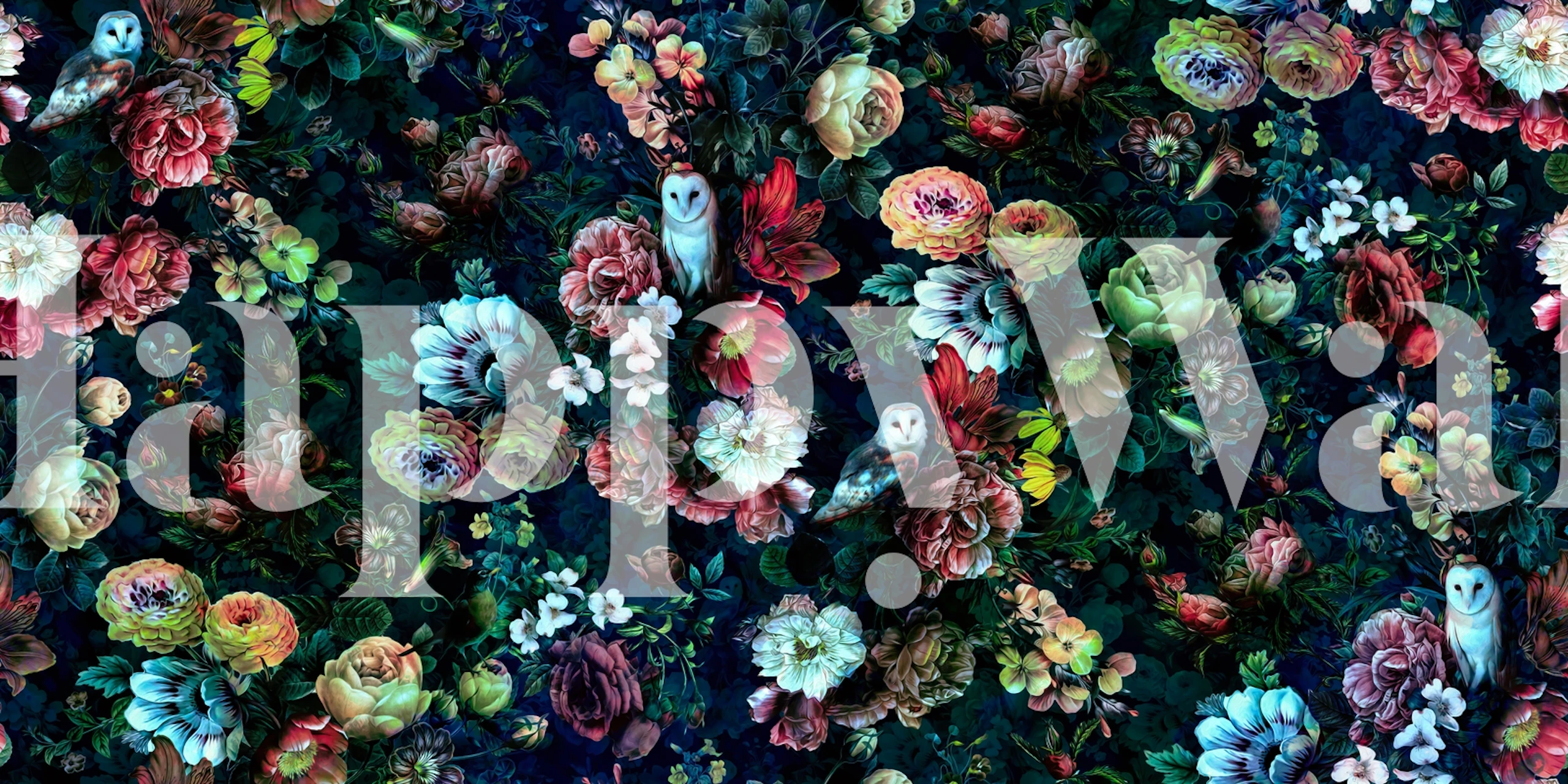 Colorful floral pattern with owls, dark background wallpaper