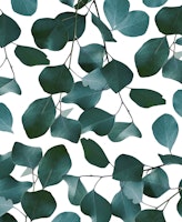 Eucalyptus Pattern 1 behang