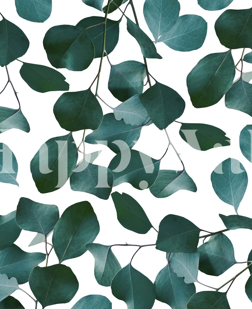 Eucalyptus leaves pattern wall mural in shades of green