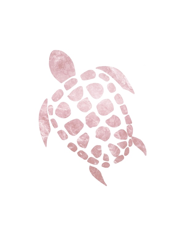 Minimal Sea Turtle 3