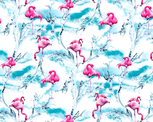 Flamingos II