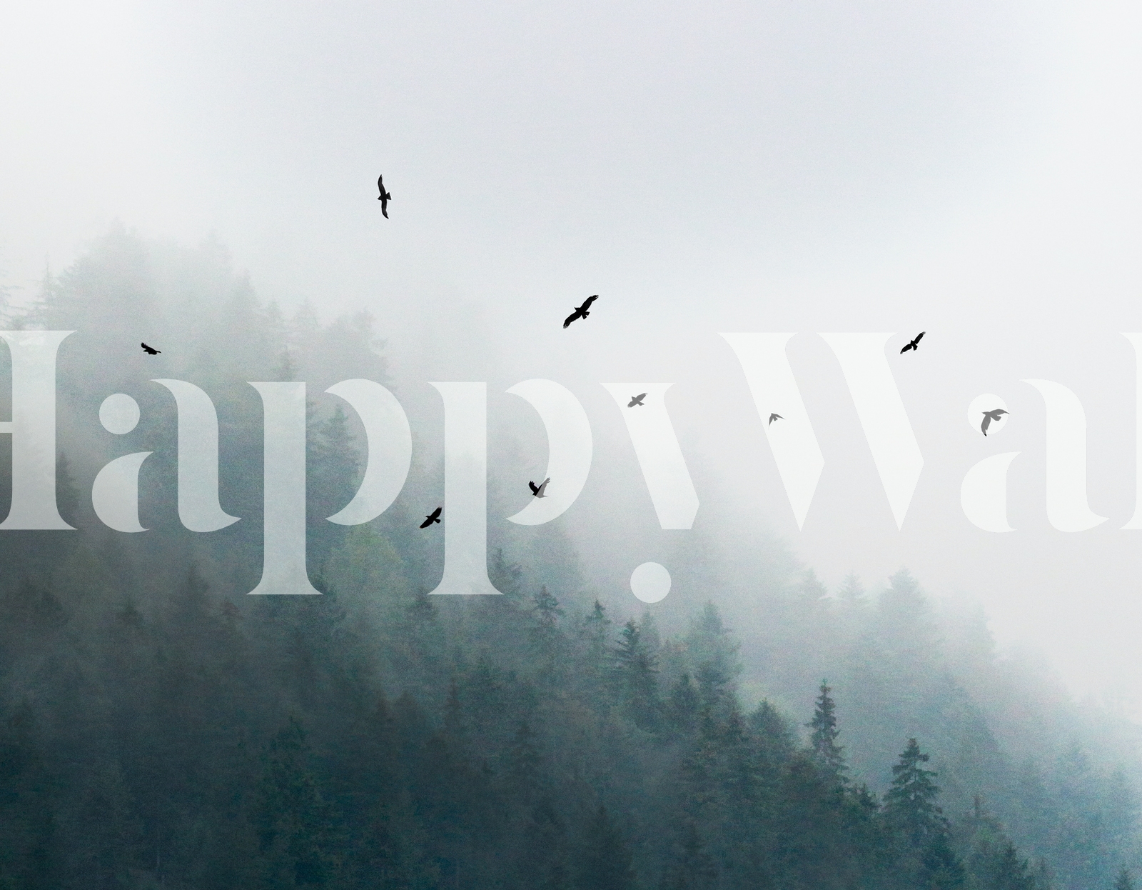 Foggy Morning 4 Wallpaper - Misty Landscape Mural | Happywall