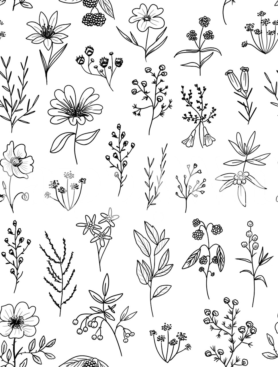 Floral black and white wallpaper with intricate hand-drawn flowers
