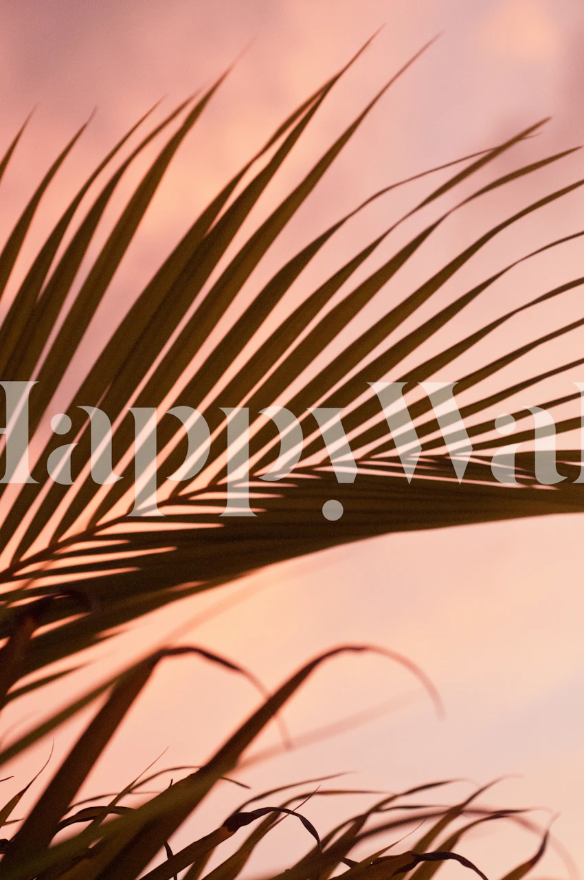 Silhouette di foglie di palma contro un tramonto arrossato per un murale