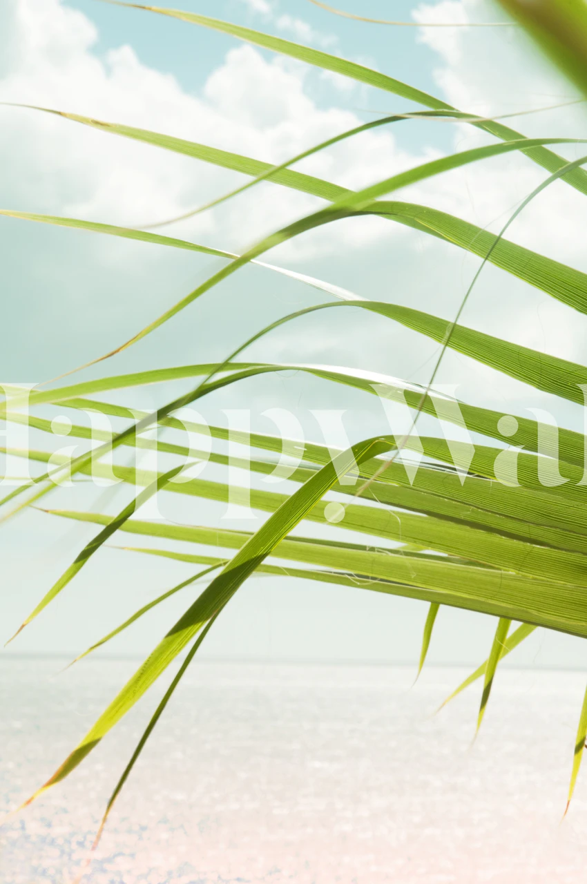 Folhas de palmeira tropical com oceano e céu ao fundo
