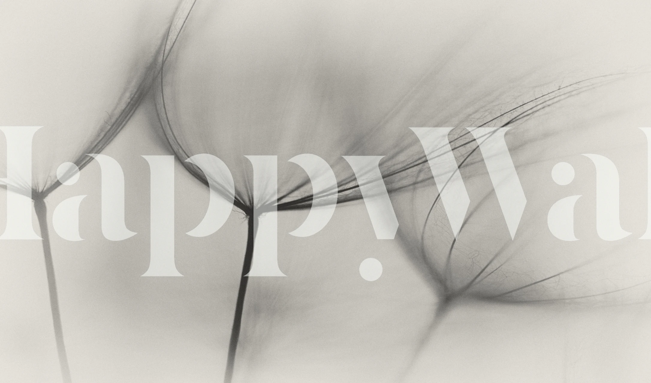 Carta da parati Tragopogon in una stanza