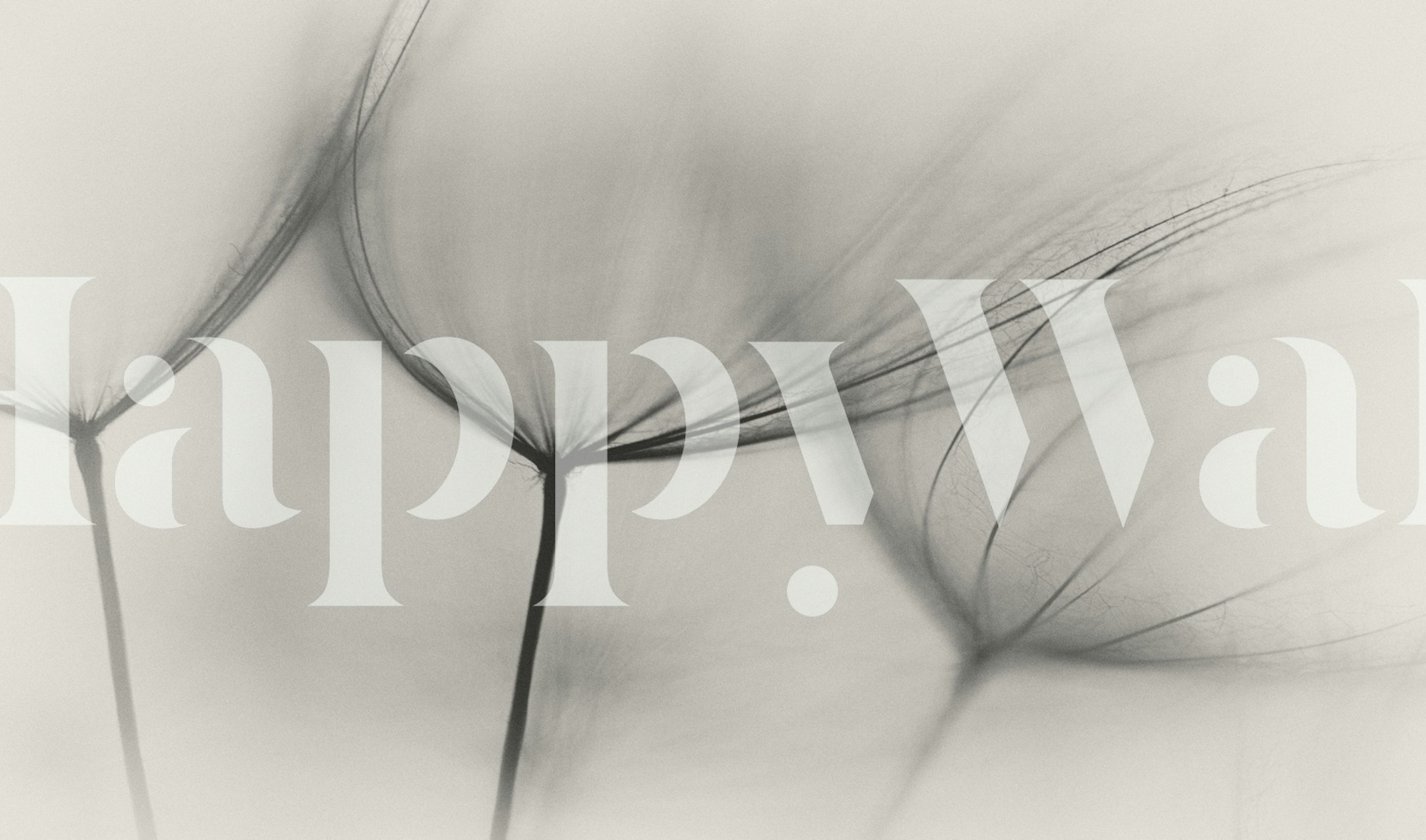 Black and white floral silhouette wallpaper with delicate textures