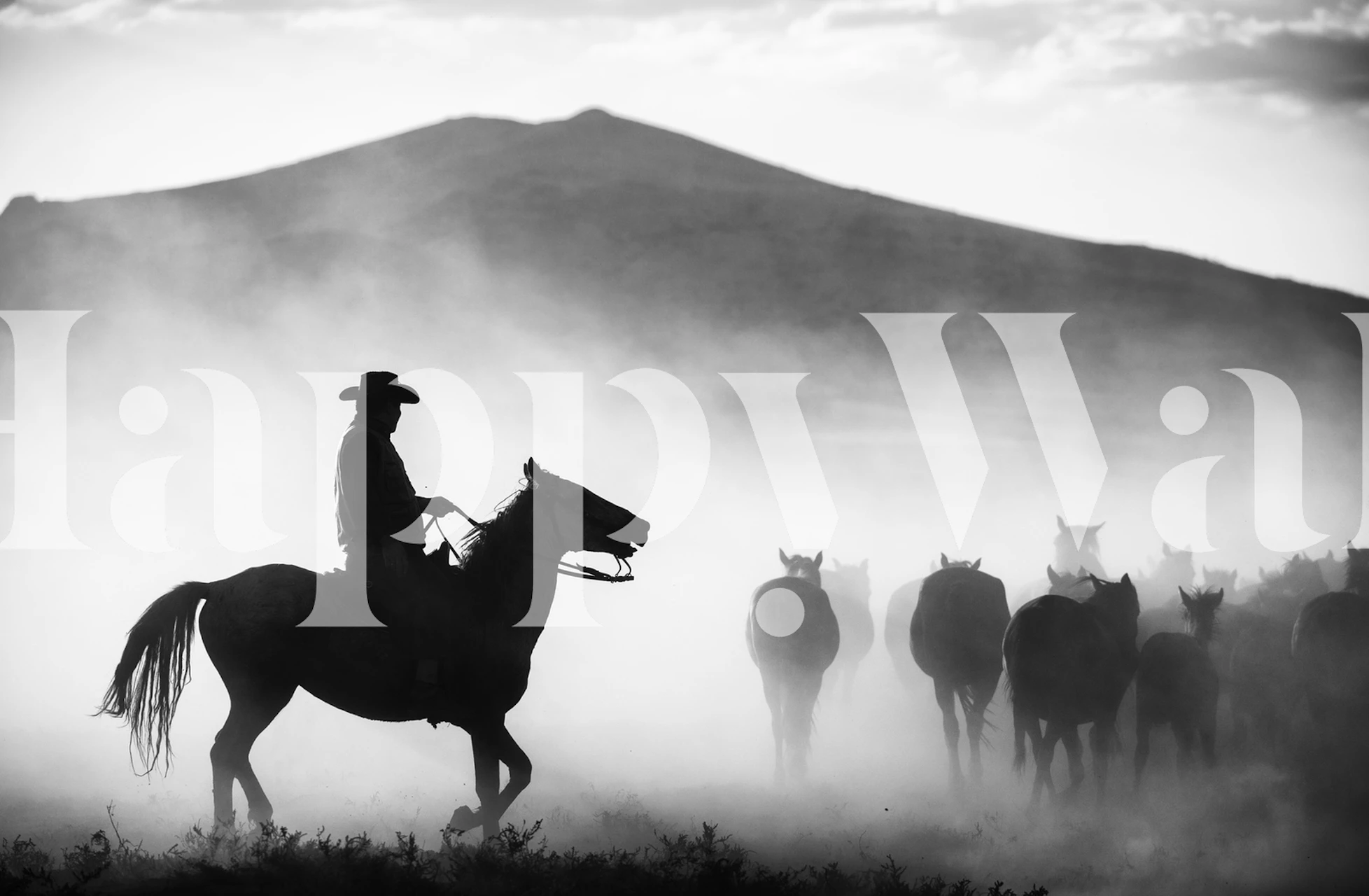 Rider and horses wallpaper in a room