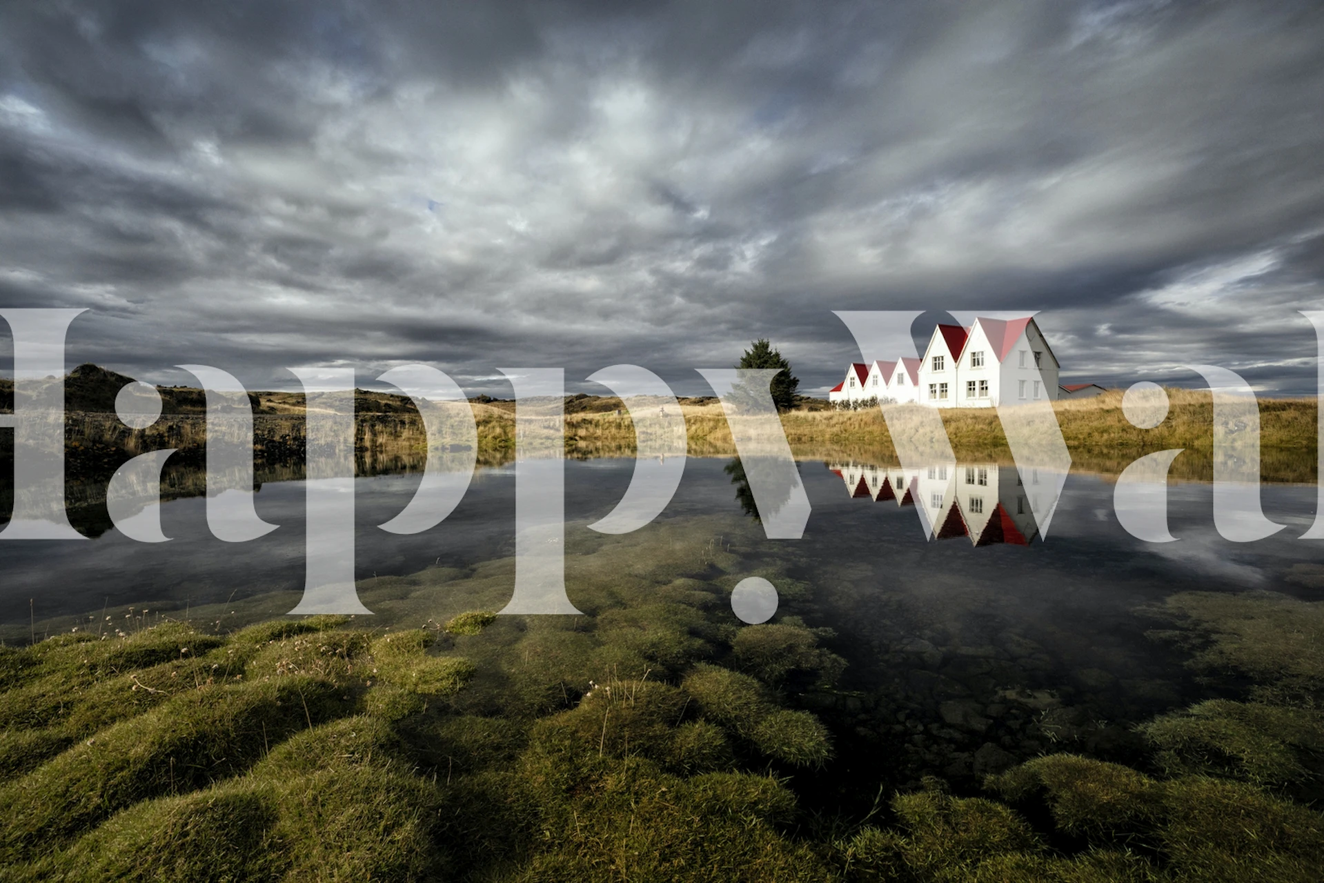 Points wallpaper design displayed in a room