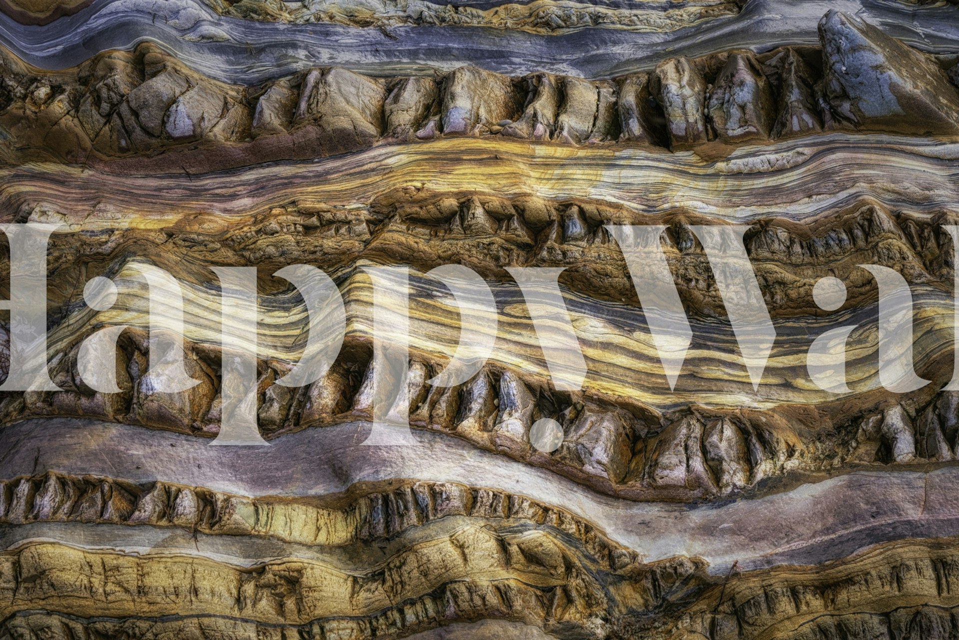 Prirodne Abstractions in nature u prostoriji