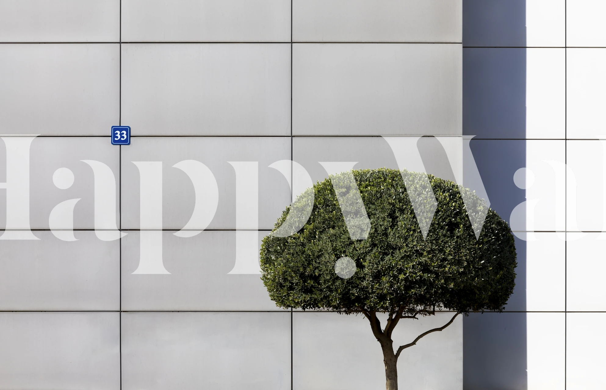 Solitary tree against geometric tiled wall mural