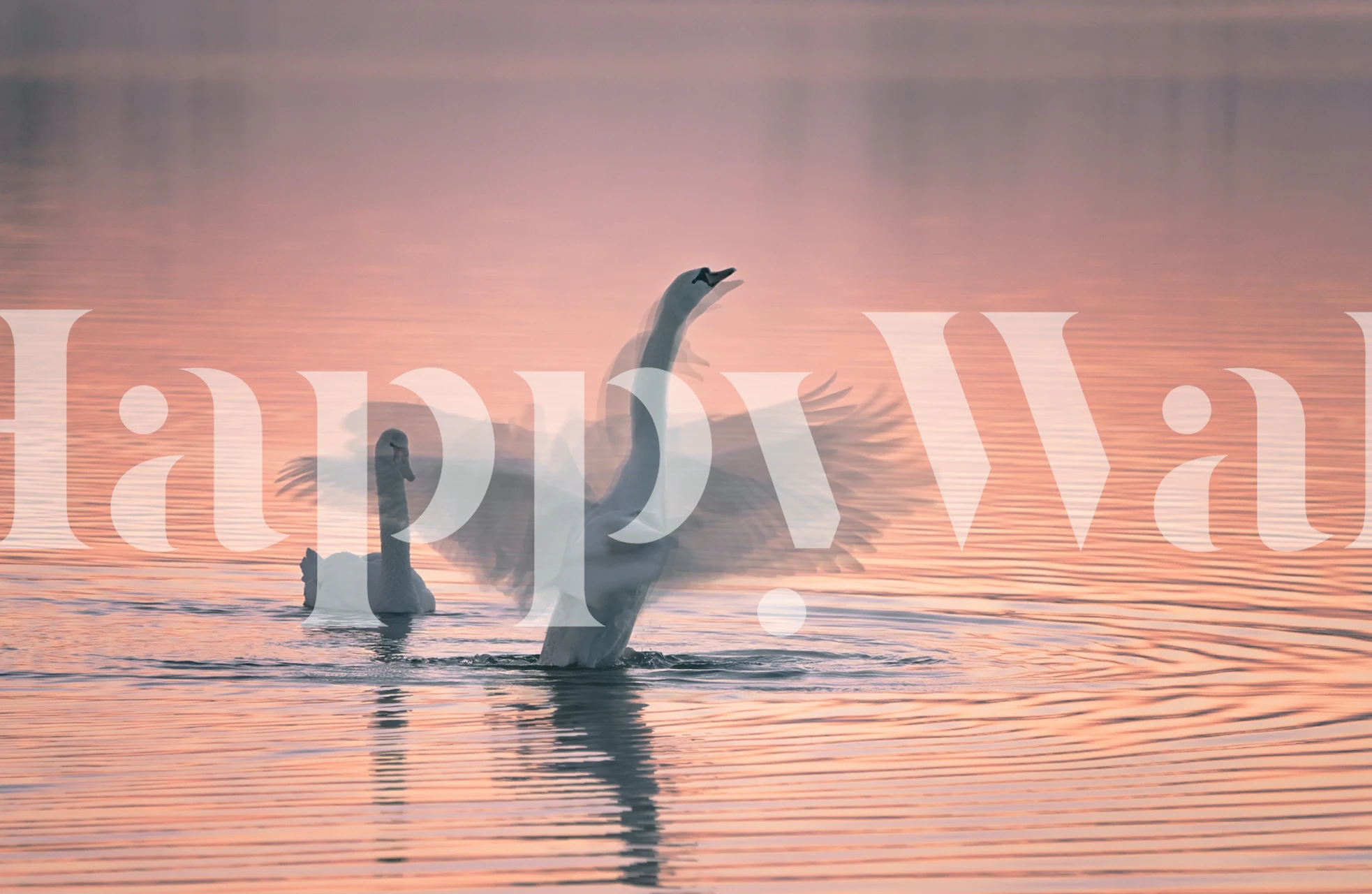 Dancing for you wallpaper in a room