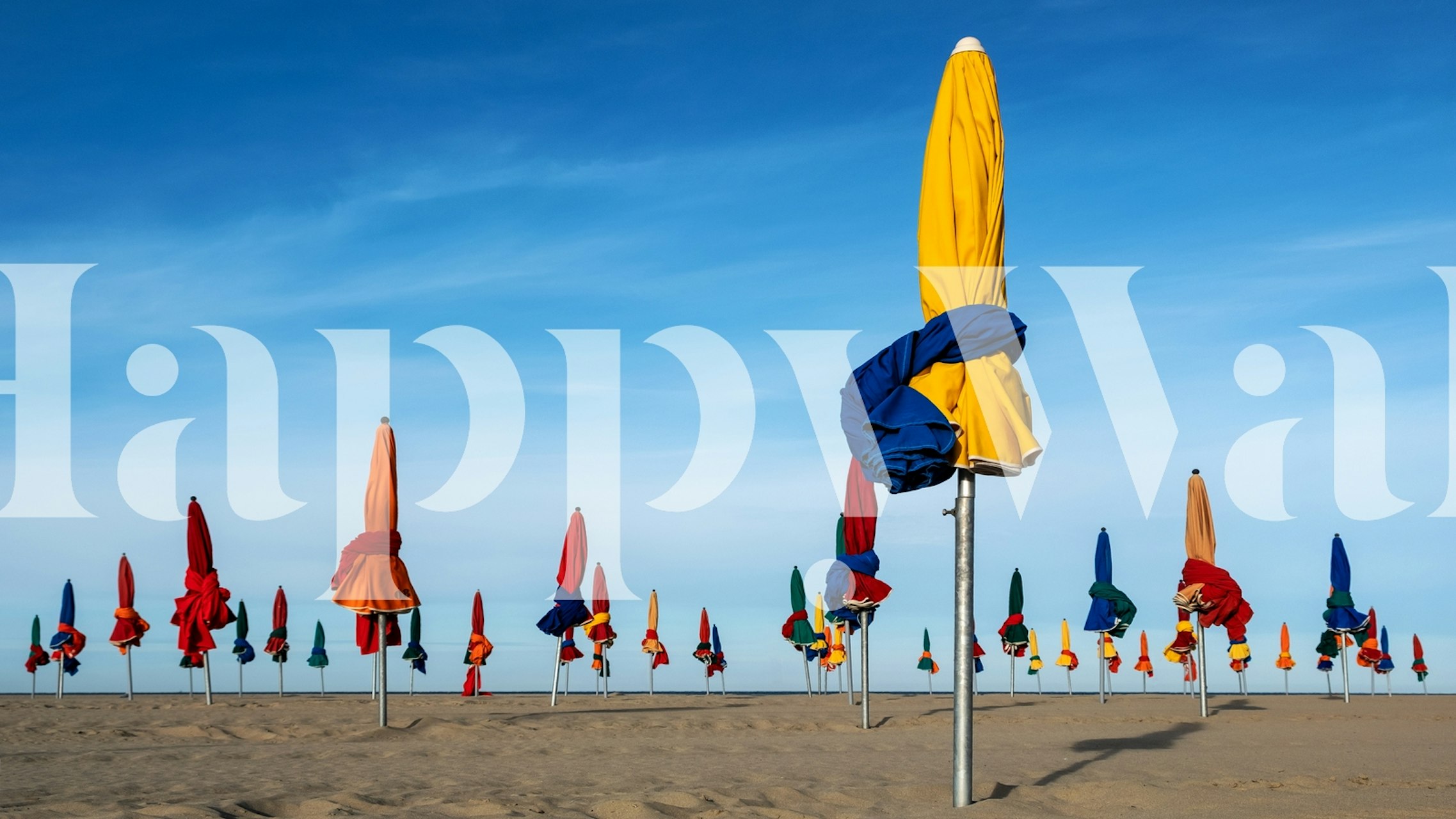 Colorful beach umbrellas lined on a sandy shore under a blue sky wallpaper