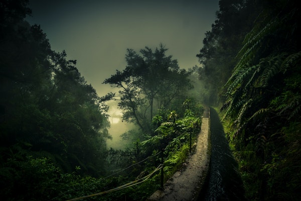 Levada Walk