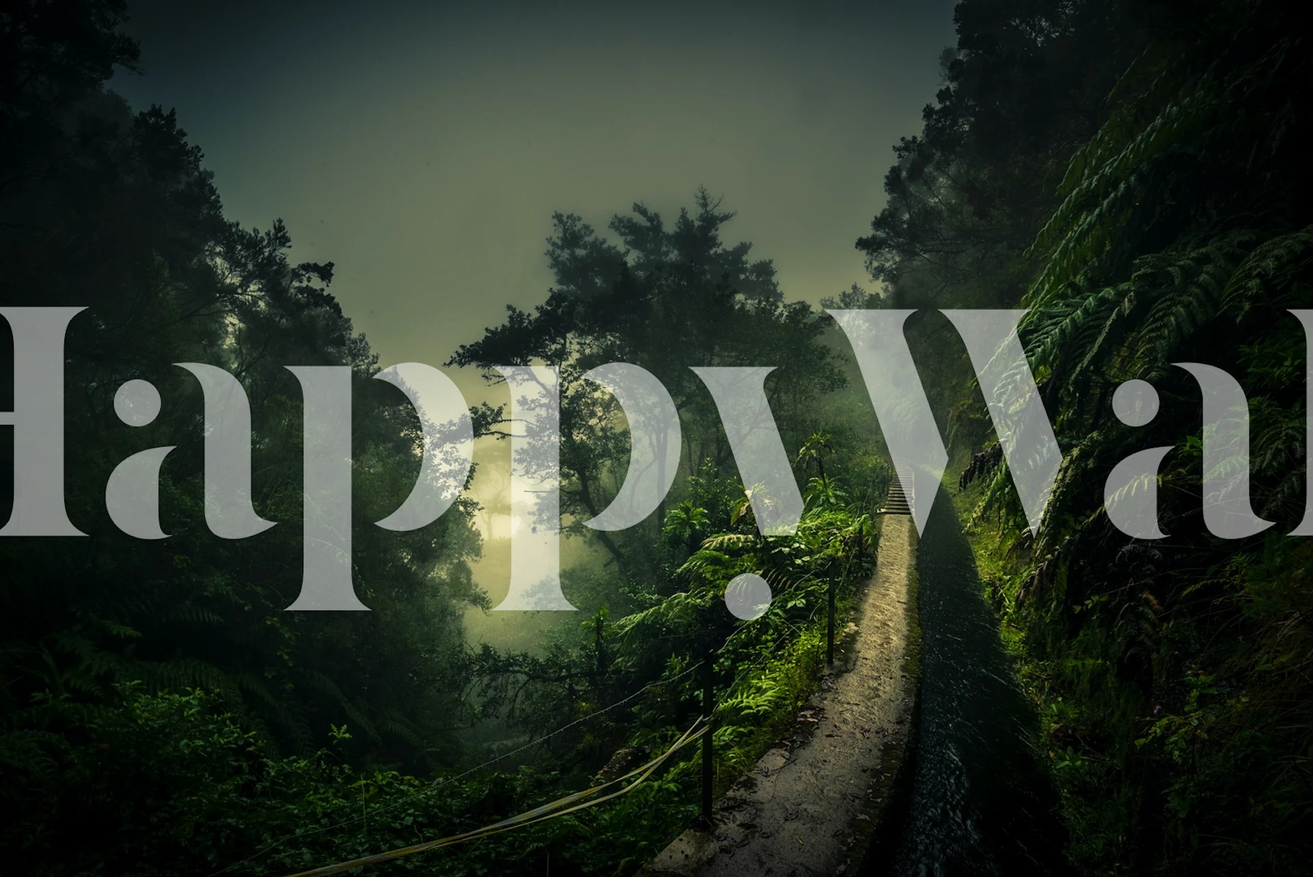 Lush green forest pathway with dense foliage wallpaper