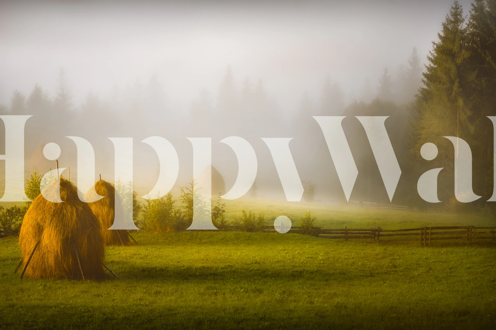 Hay wallpaper design in a room