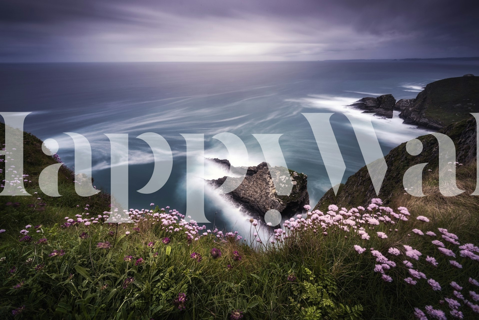 Cliffside wallpaper in a room