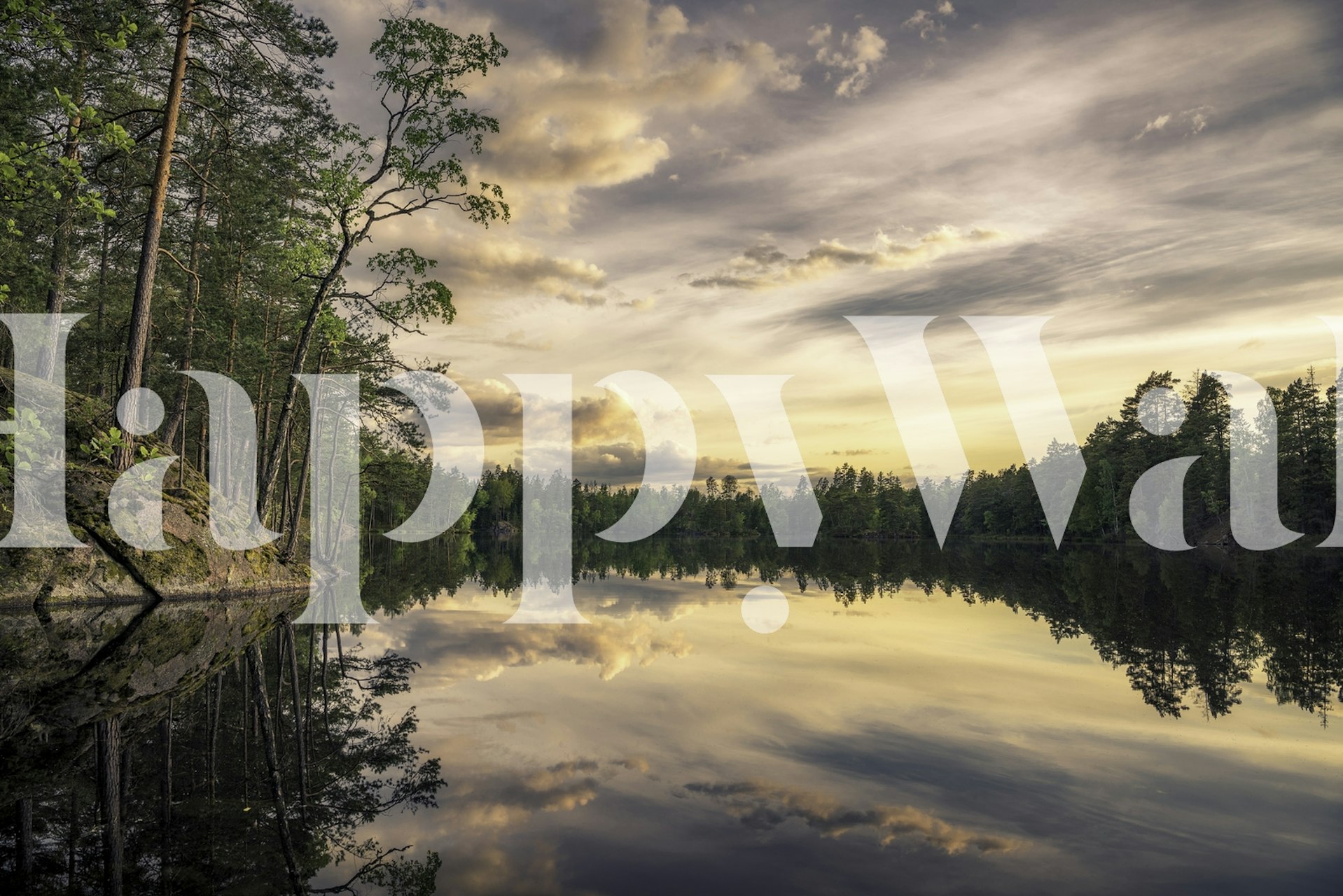 Lush lake landscape with trees reflecting on the water, nature wallpaper